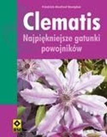 Clematis.